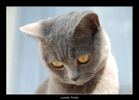 /album/fotogalerie/beruska1-jpg/