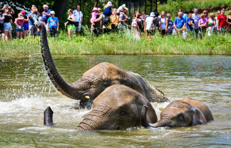 ZOO Zlín - už 18 let patříme mezi desítku TOP míst v České republiceu